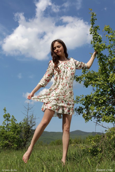 Li Moon