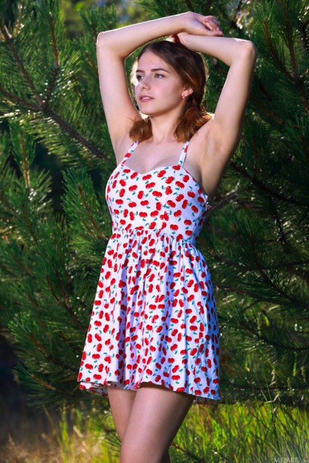 Dakota Pink Вишни