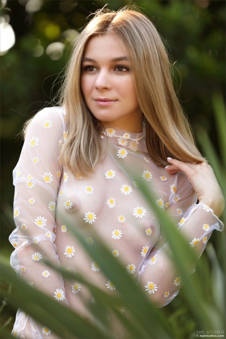 Stefani A Убежище