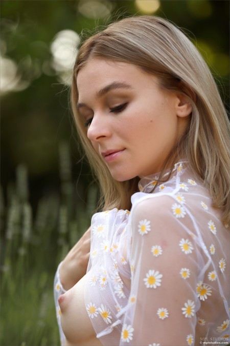 Stefani A Убежище