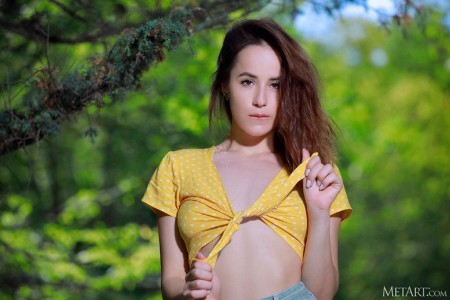 Annamalia B Поход