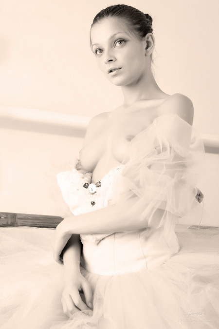 Rudy C Лебедь