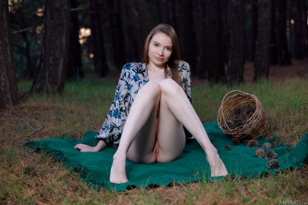 Dariana A Лесная Фантазия