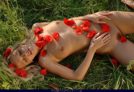 Alena K Мак