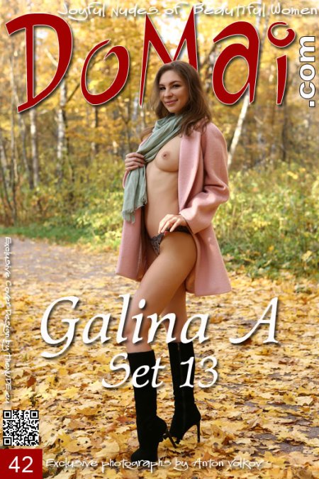 Сет 13