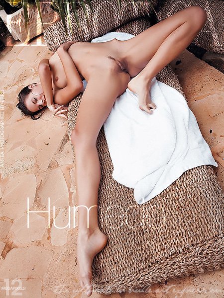 Humedo 2