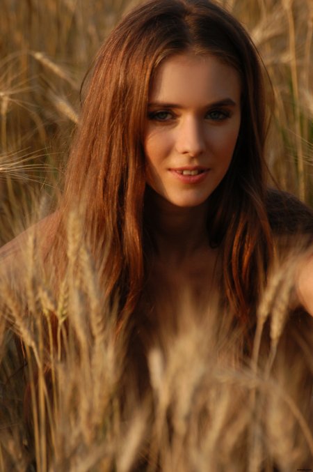 Dasha A Поле любви