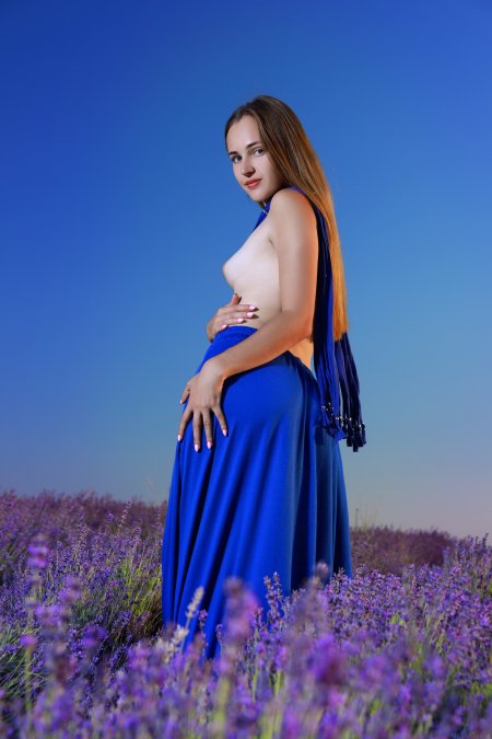 Hailey A Лавандовая Любовь