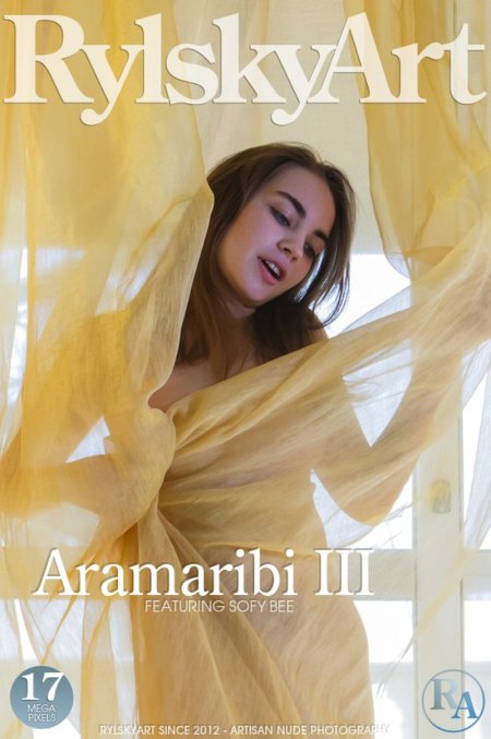 Aramaribi 3